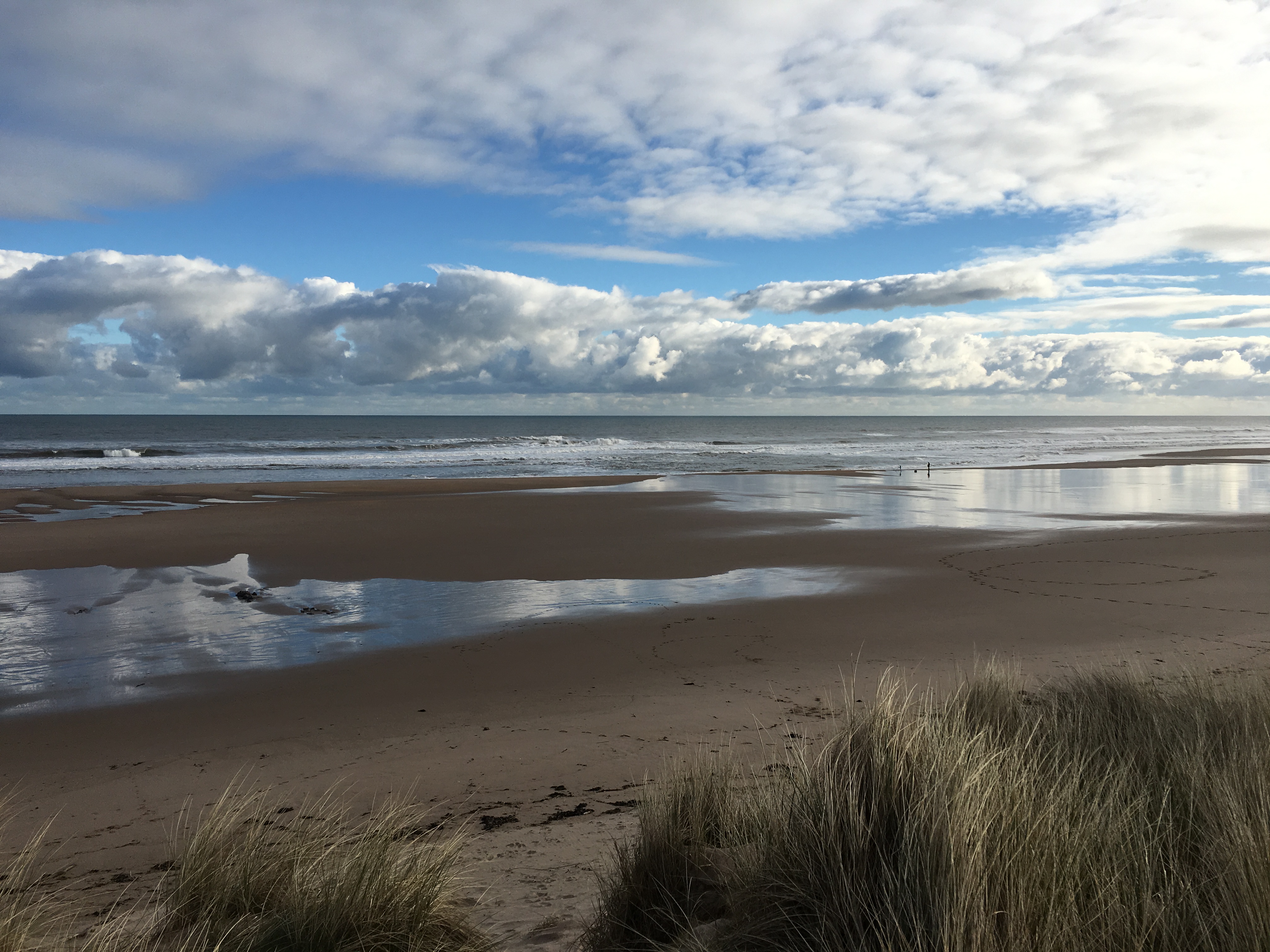 New coastal walk planned
